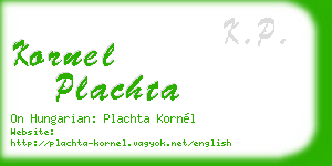 kornel plachta business card